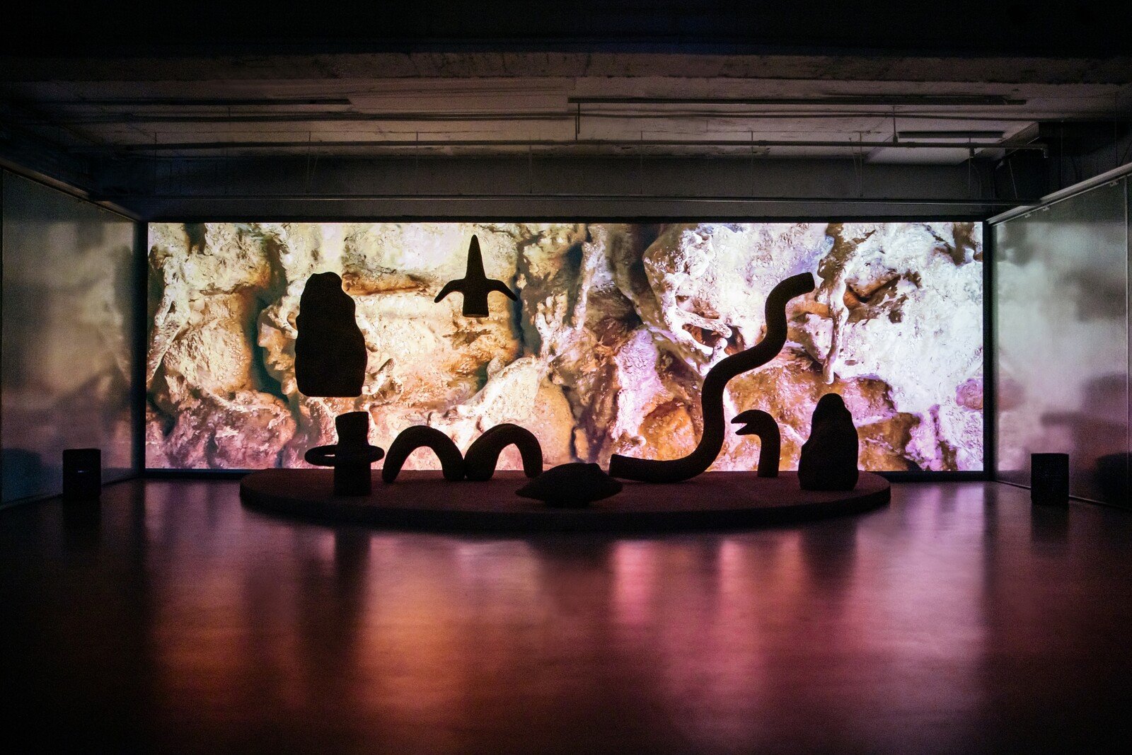 🖼️ 도쿄도 사진미술관(도쿄도샤신비주쓰칸) 이미지 9